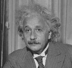 Albert Einstein 
Portrait
